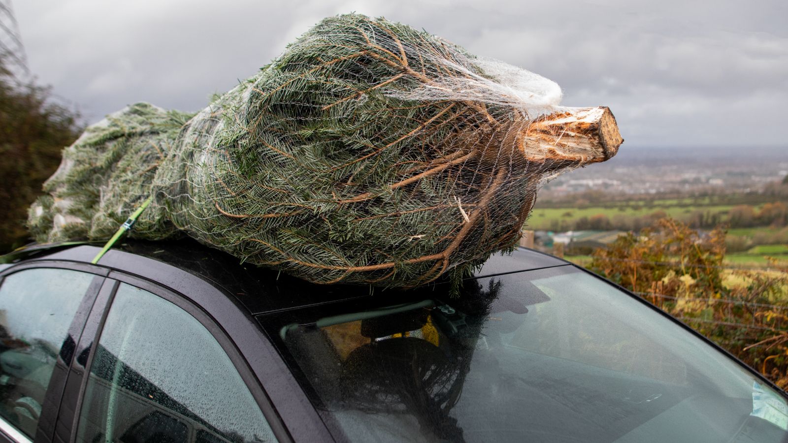 Închirieri auto pentru sărbătorile de iarnă cu Bradus.md