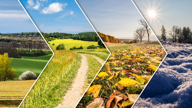 Cum să alegi o mașină în chirie în funcție de sezon